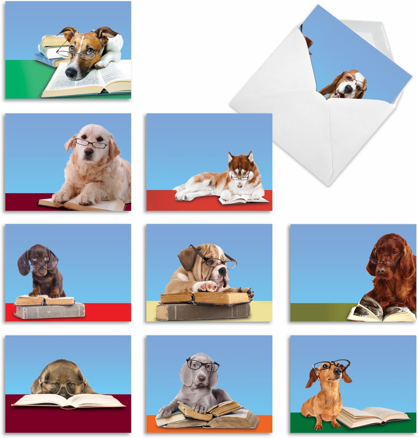 The Best Card Company - 10 Blank Dog Greeting Cards for All Occasions (4 x 5.12 Inch) - Reading Eye Dogs M3967