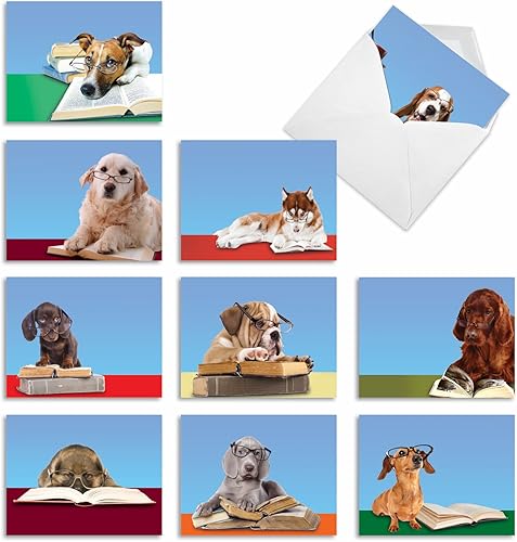 The Best Card Company - 10 tarjetas de felicitación para perros en blanco para todas las ocasiones (4 x 5.12 pulgadas) - Perros de ojos de lectura