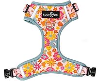 Vista 12 de Lucy & Co. Arnés para perro Midnight No-Pull – Talla M – Chaleco para dejar de tirar y caminar fácil – Cómodo producto de entrenamiento de correa