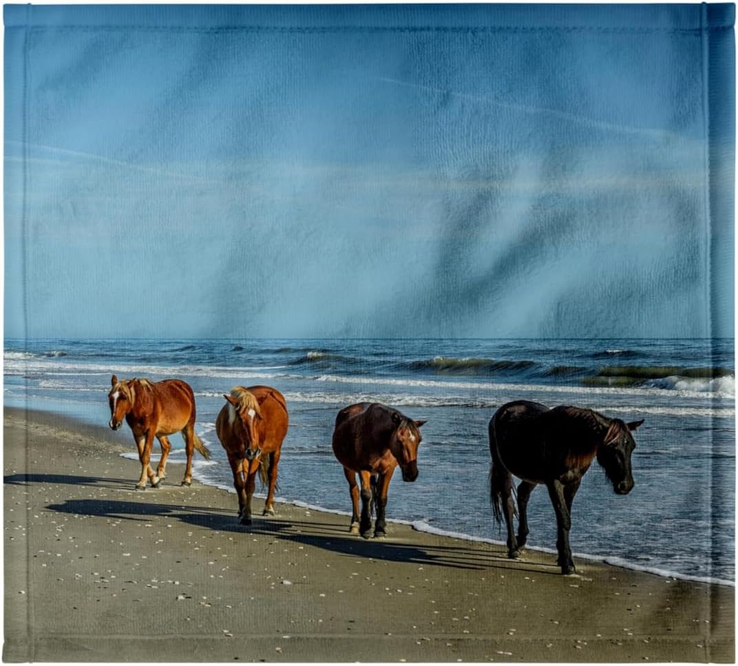 3dRose A Group of Wild Spanish Mustangs of Corolla Walking Along the Beach. 22x30 Bath Hand Pool Towel