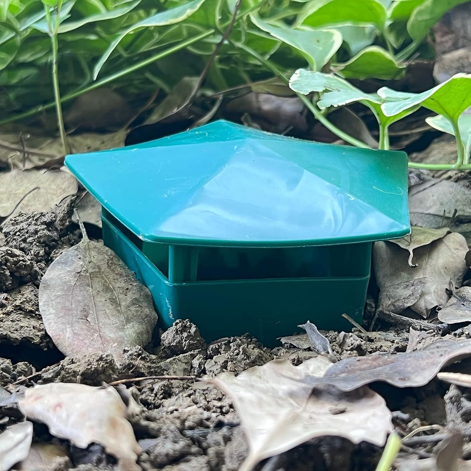 Aohcae Set Di 5 Trappole Per Lumache Da Giardino, Efficaci Contro Chiocciole E Limacce - 2
