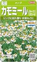 ◆ 瀬戸のカモミール  ① 9698325E0004_x1_a001.jpg