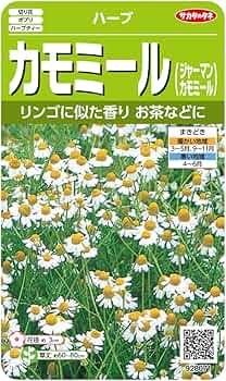 71qB9Al0jqL._AC_UF350,