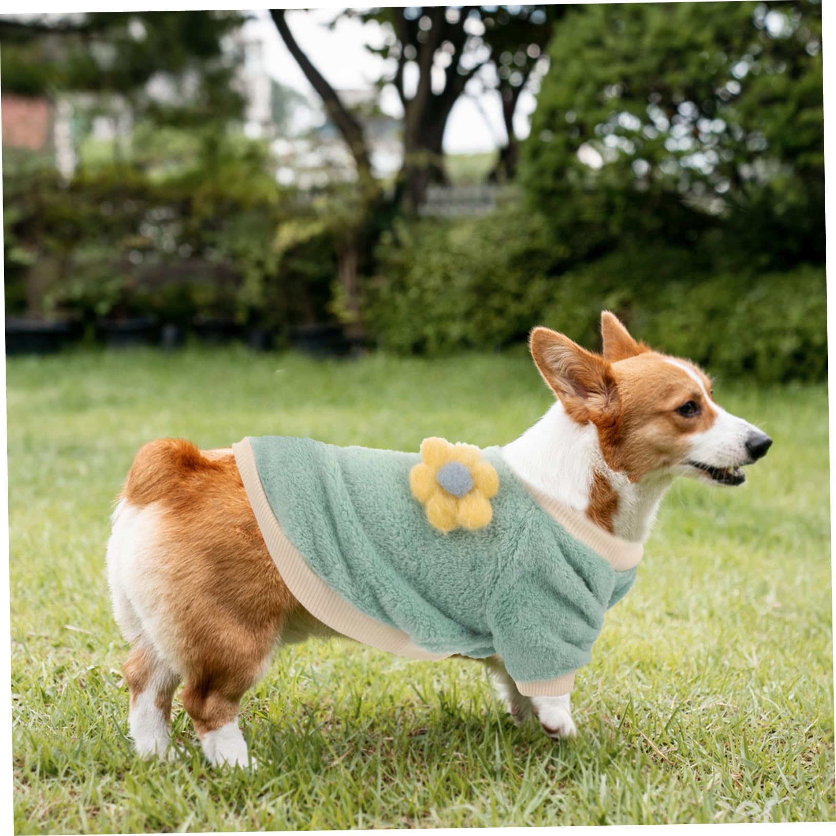 Manteau d'hiver pour Chien Costume Chaud pour Animaux de Compagnie