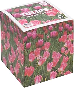 Amazon.com : EARTHCUBE (Tulips Design) Blank White 3.5 Inch Note Cube ...