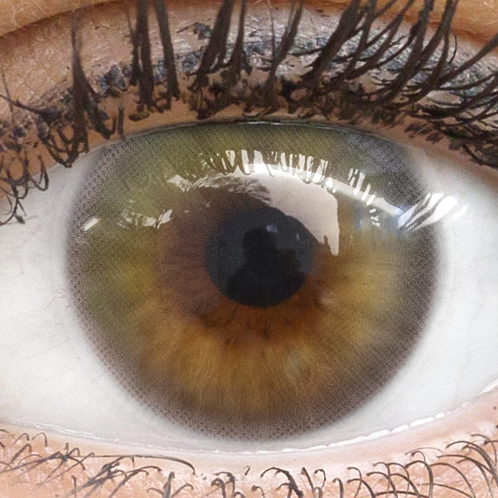 GLAMLENS Bordolino Green lentillas de colores verdes 1 par hidrogel de silicona 90 Días Sin Graduación