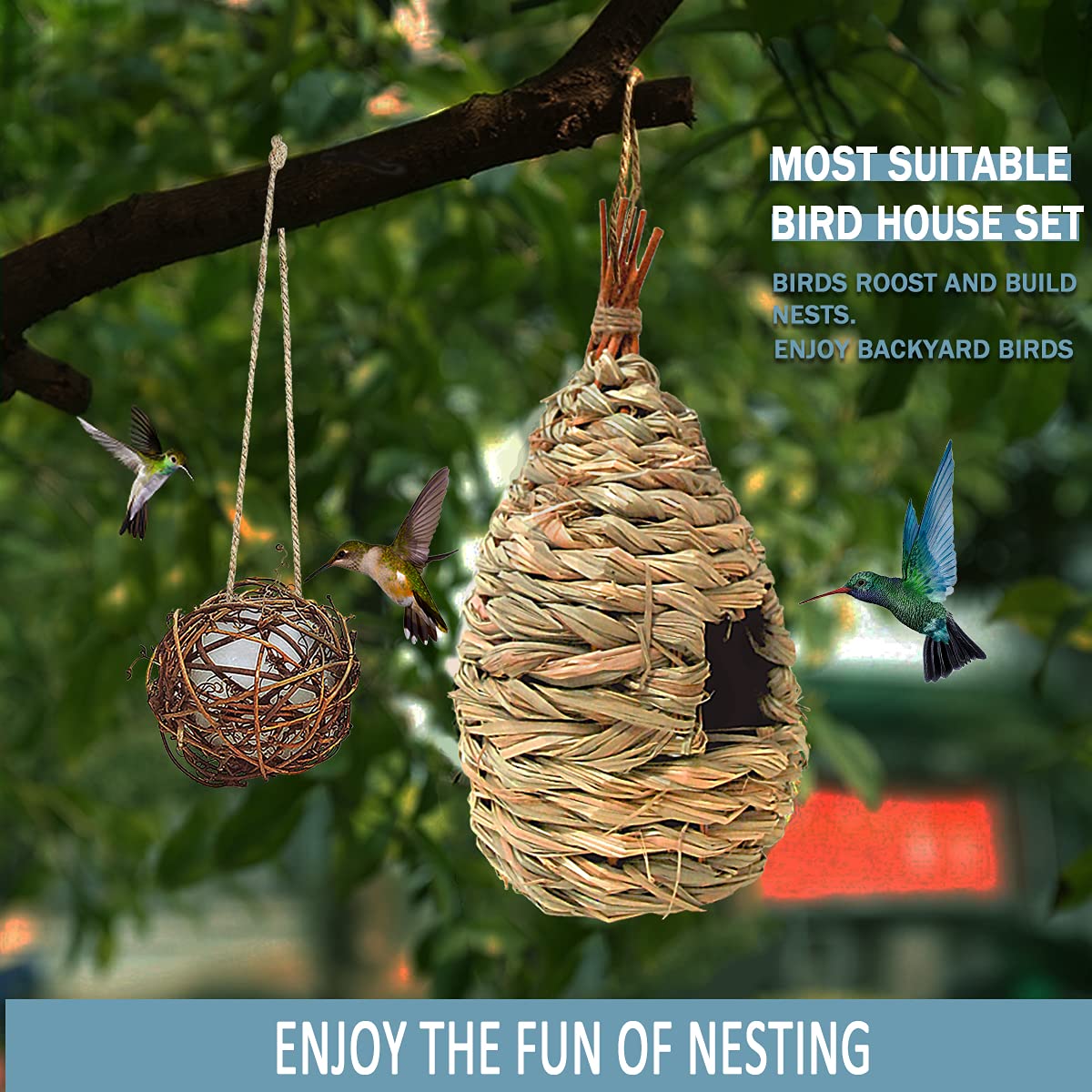Hanging Hummingbird Nest
