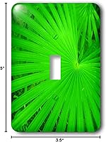 Vista 2 de 3dRose LSP _ _ _ _ _ _ _ _ _ _ 17929 _ _ _ _ _ _ _ _ _ _ 1 Real Cubierta de interruptor de luz verde