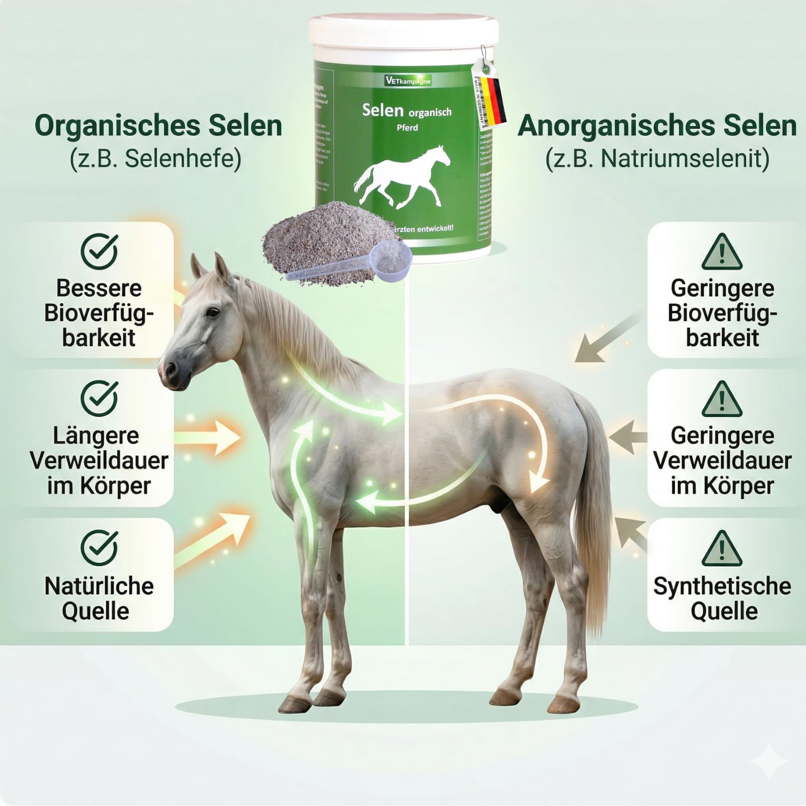 Selen organisch für Pferde – Hochdosiertes Pulver (125 mg/kg) mit Vitamin E – Unterstützt Muskelstoffwechsel & Immunsystem – Von Tierärzten entwickelt – 500g