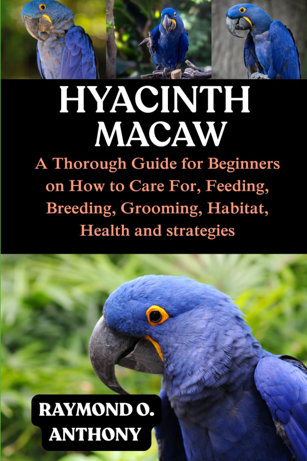 HYACINTH MACAW: A Thorough Guide for Beginners on How to Care For, Feeding, Breeding, Grooming, Habitat, Health and strategies