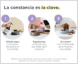 Ver la foto 6