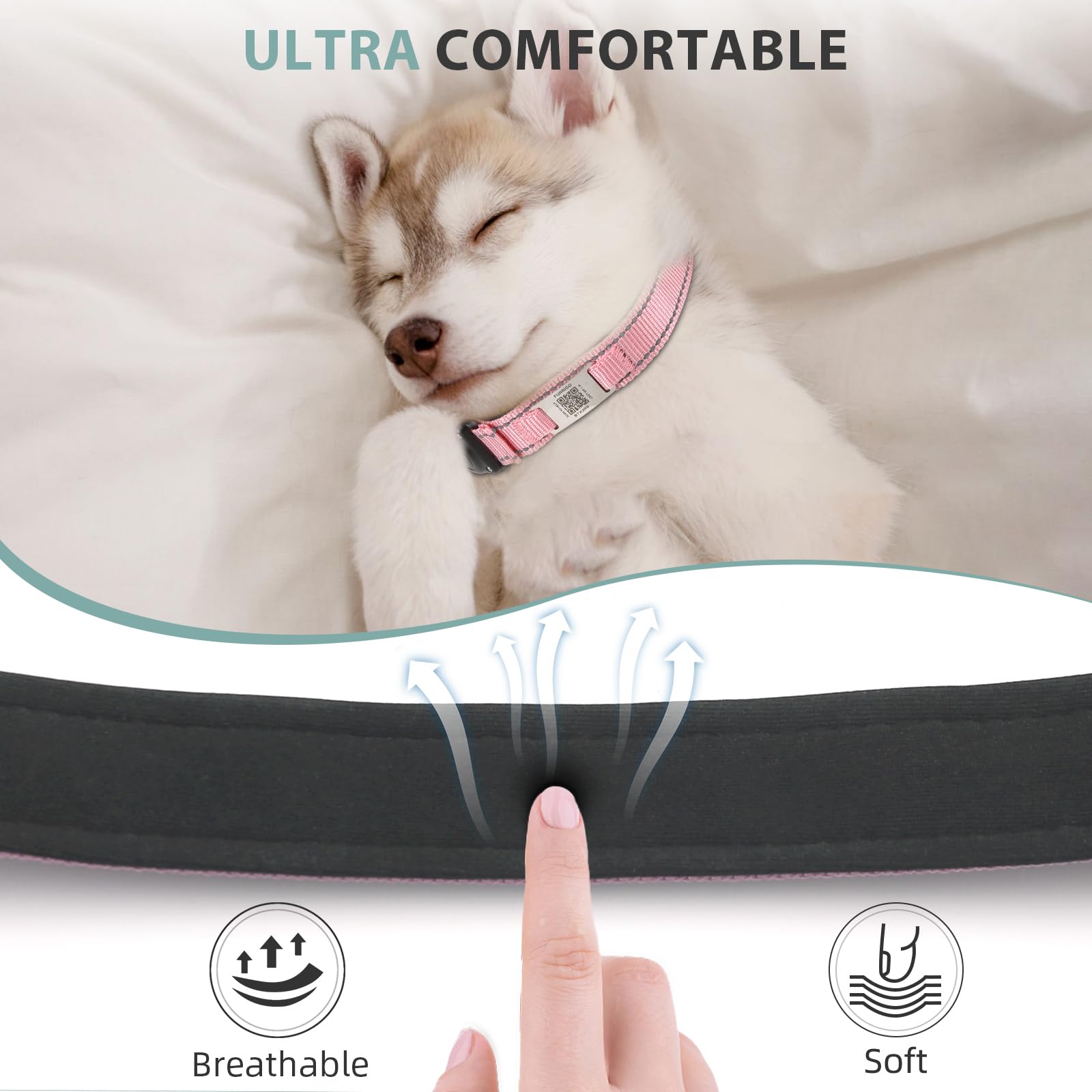 Airtag Hundehalsband Mit QR-Code – Wasserdicht IP68, Integrierte Airtag-Halterung, Baumwollhanf, Größen S-XL