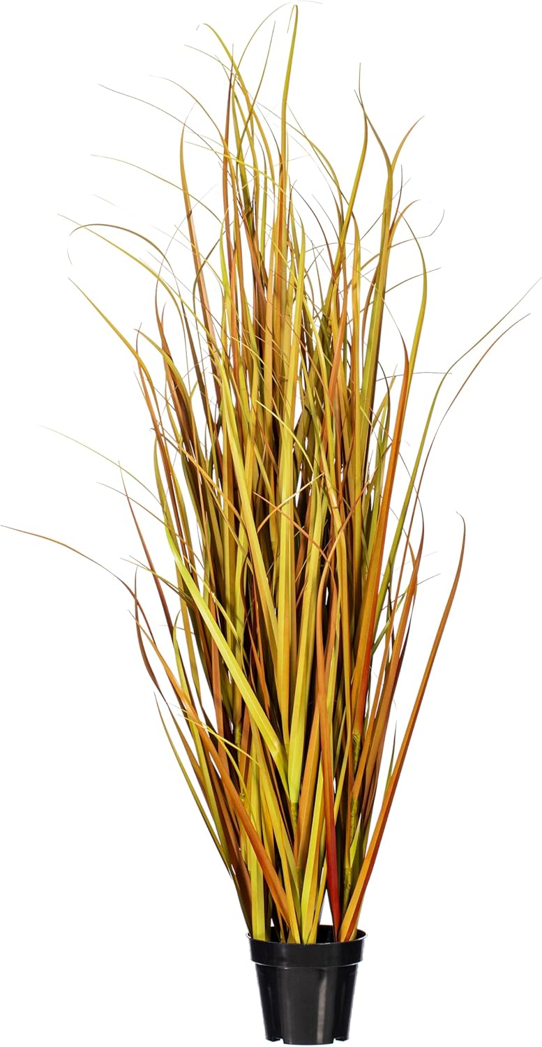 Vickerman Everyday 60