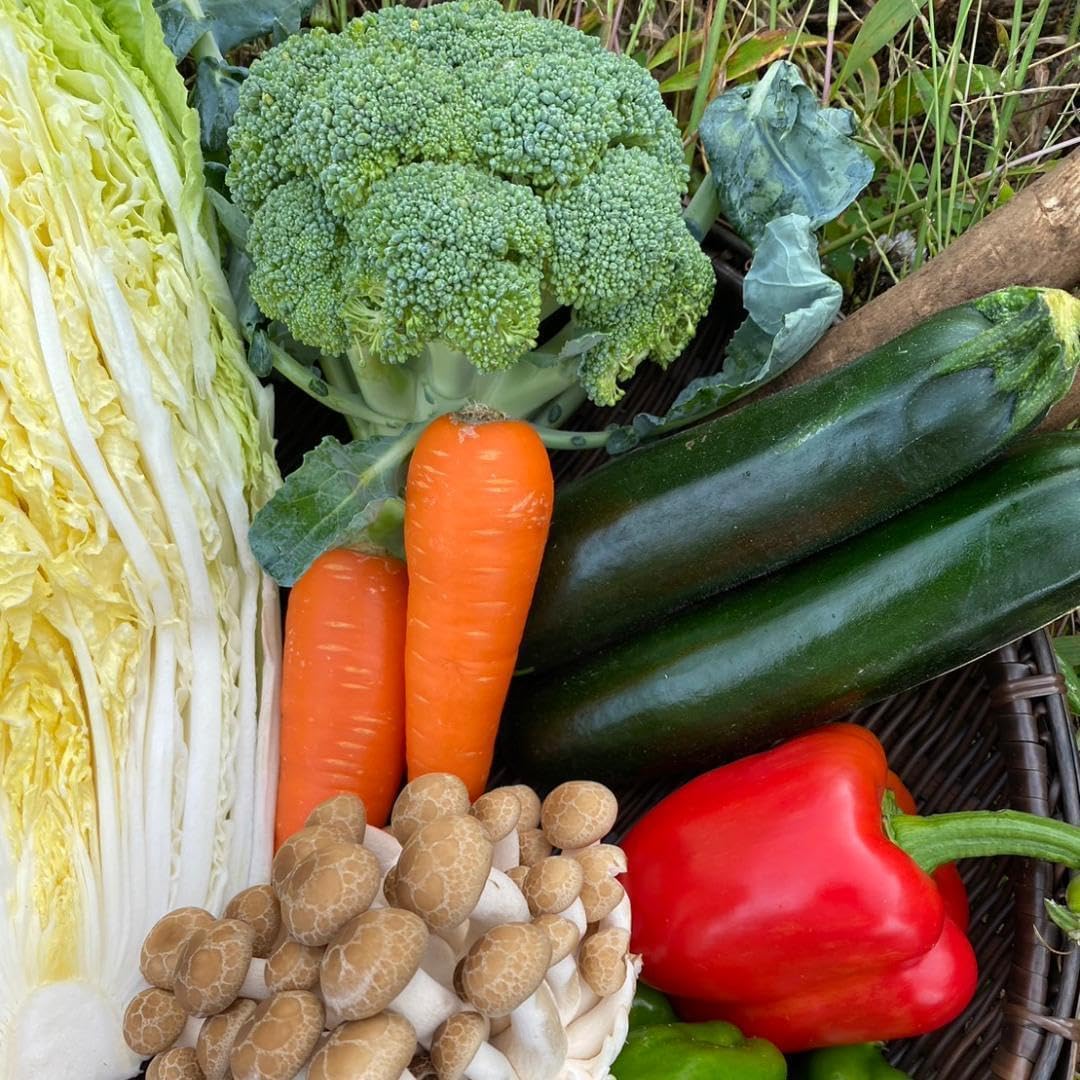 中国古美術・旧蔵青花磁碗一対・古漆器箱付・置物・文房具・時代物 中国古美術・旧蔵の極品青花磁碗一対・古い漆器箱付き・置物・