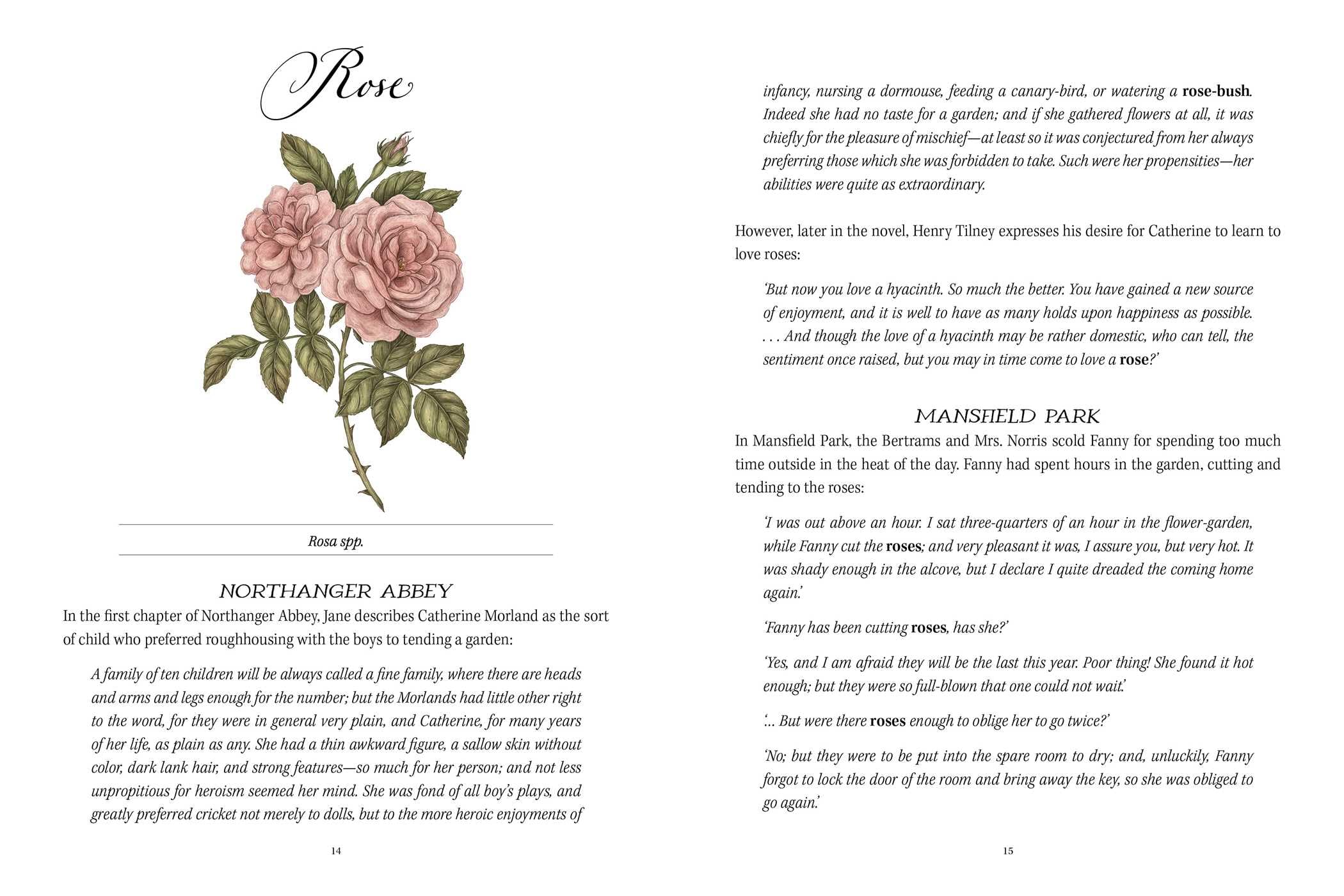 Jane Austen's Garden: A Botanical Tour of the Classic Novels
