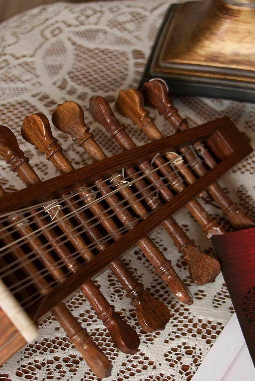 Includes: Roosebeck 8-course Travel Lute W/Padded Gig Bag + Snark Clip-on Chromatic Tuner - Image 7