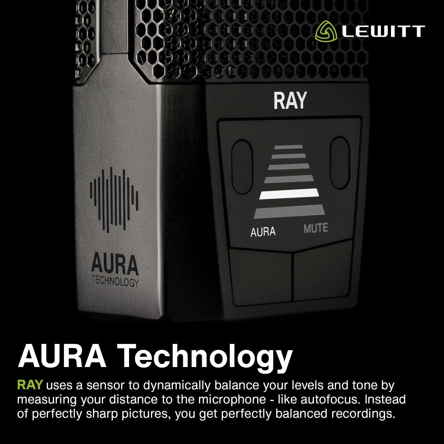 Amazon.com: LEWITT RAY XLR Condenser Microphone With Auto