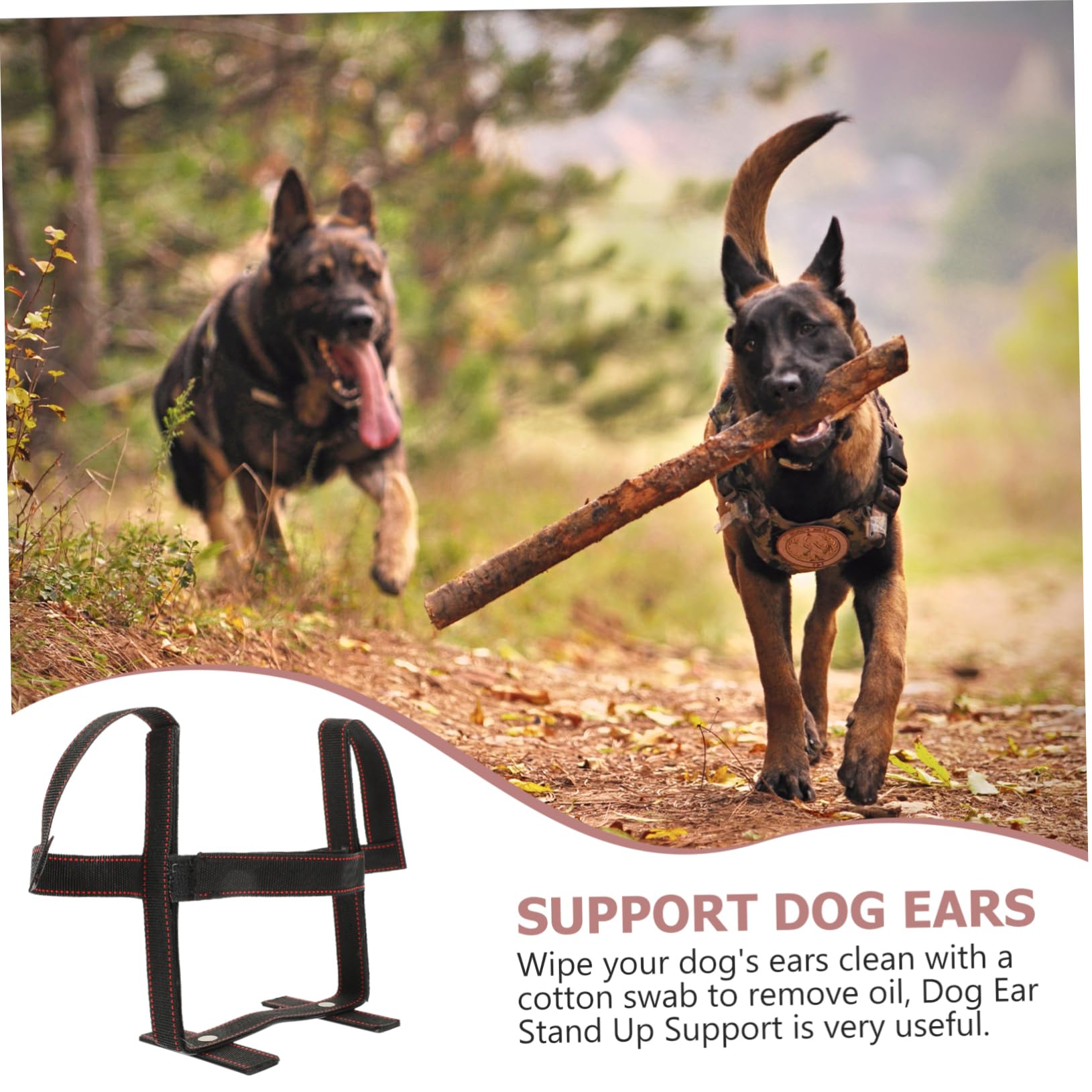 3 Sets Ohraufrichter Für Haustiere, Hundeohren Aufsteller, Welpenohren, Ohr Set, Hundeband Für Hundeohren, Hundeohr Werkzeug, Hundeohrpflege, Hundeohrstütze, Hundeohr Band Set,