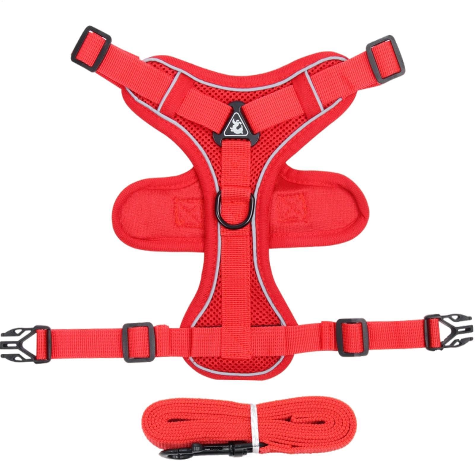 View 5