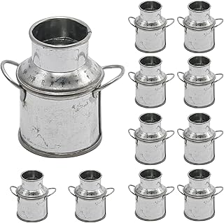 10Pcs 2 inch Mini Metal Farmhouse Vase Mini Milk Jugs, Thumb Milk Jug, Vintage Galvanized Iron Tiny Retro Flower Jug, Extra Small Zinc Kettle Vase, Miniature Landscape Decoration Tabletop Garden Decor