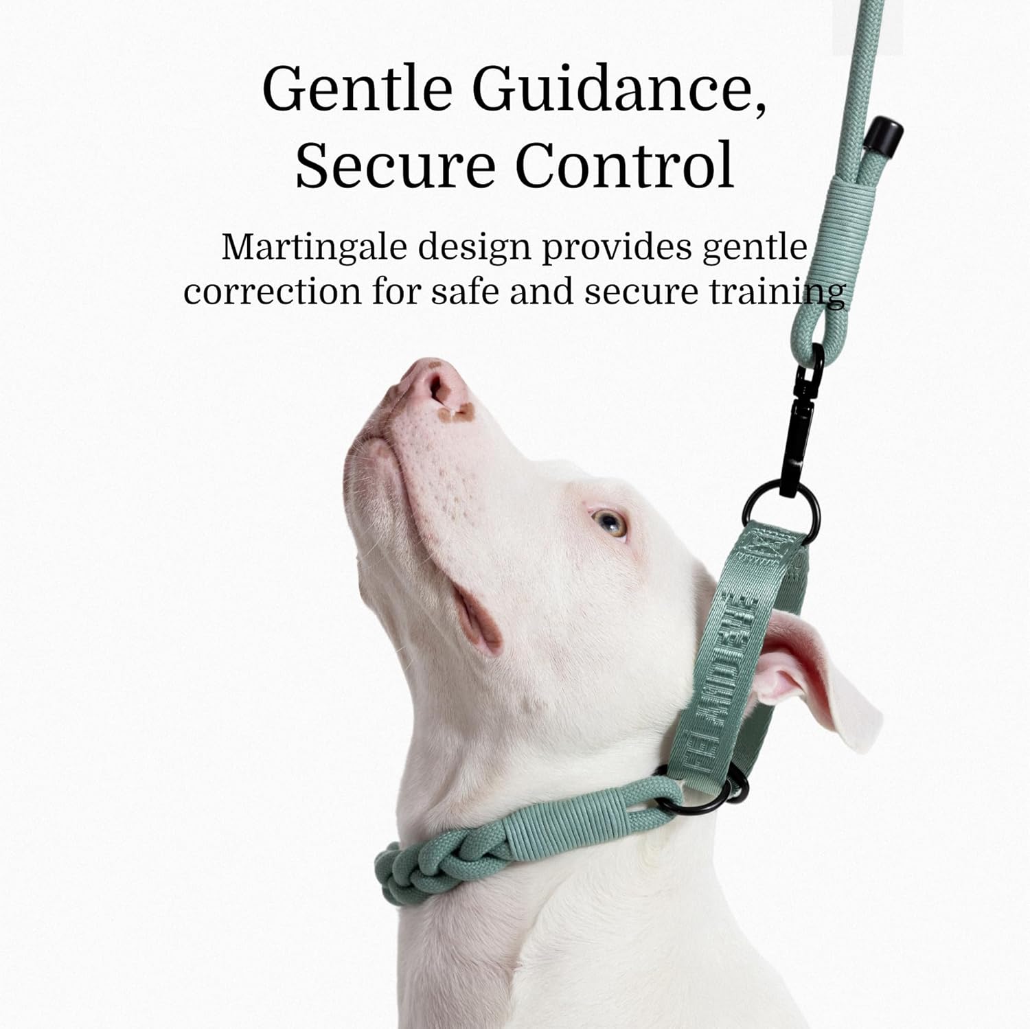 2026 New Edition, Fei & Eve Martingale Collar | Large (Jade-Green)