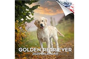 2023 2024 Golden Retriever Calendar - 16 Month FULL SIZE