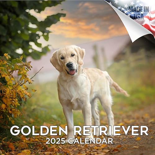 Calendario mensual de la raza de perro golden retriever 2022-2023, 12 x 24 pulgadas, papel grueso, no se traspasa, agenda académica para profesores,