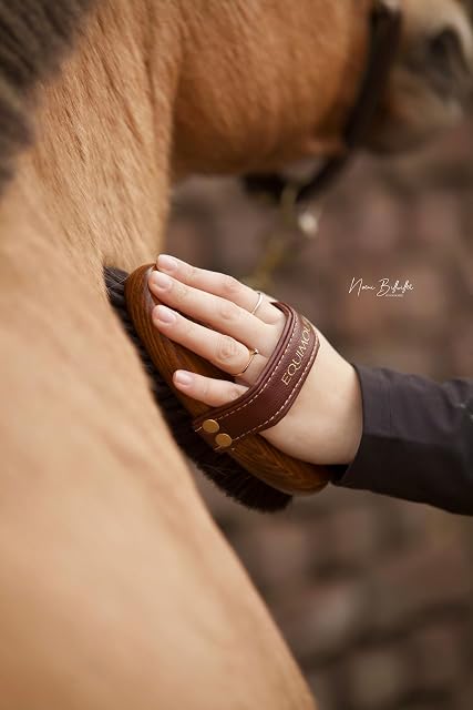 Foto 6 de 8 de Equimour Bruza de Crin de Caballo - Cepillo de Madera con Cerdas Naturales