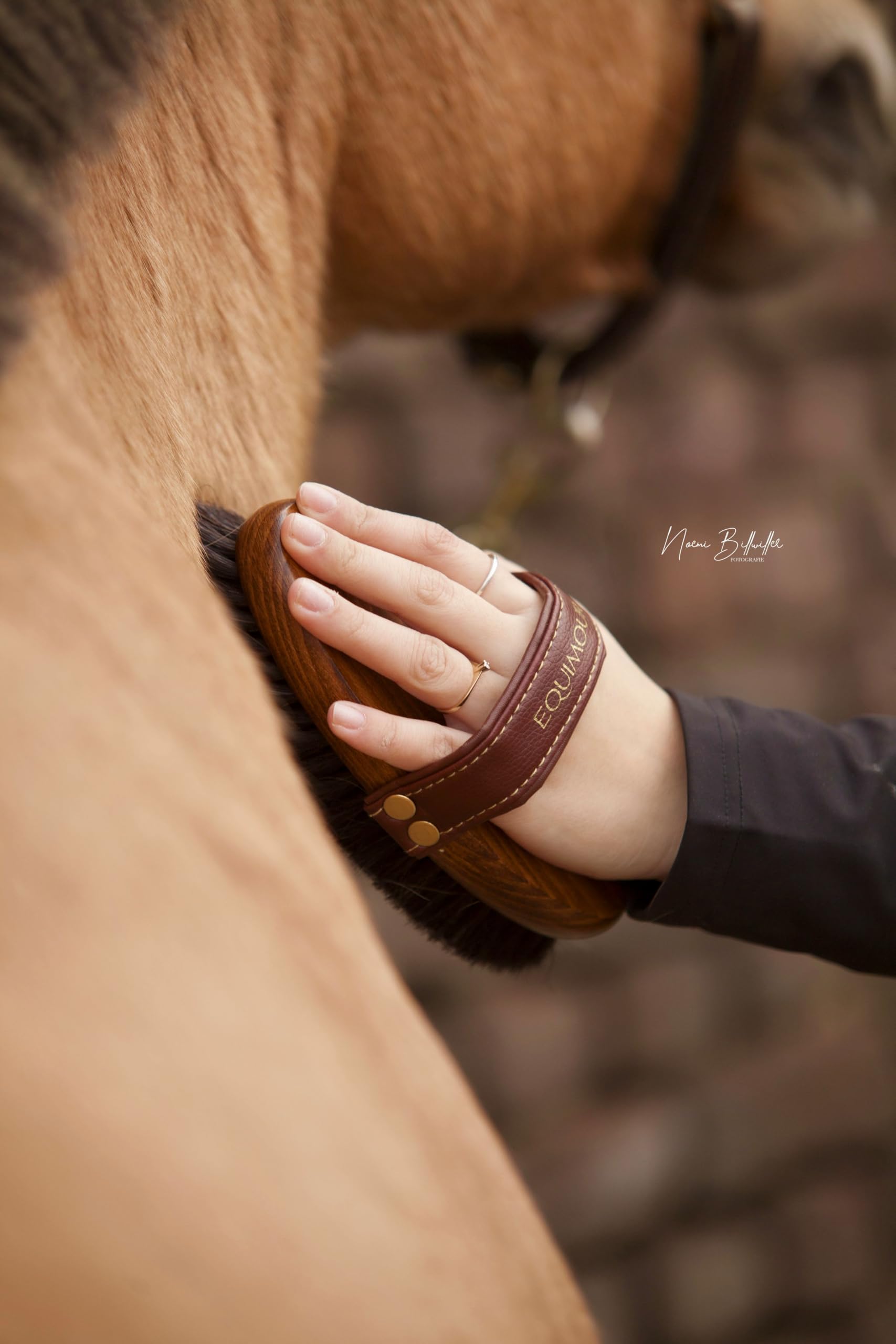 Rosshaar Kardätsche – Pferdebürste aus Holz mit 100% Naturborsten für Fellpflege, Striegeln, Putzen, Glanz & Staubentfernung – Bürste für Pferd, Pony & tägliche Pflege