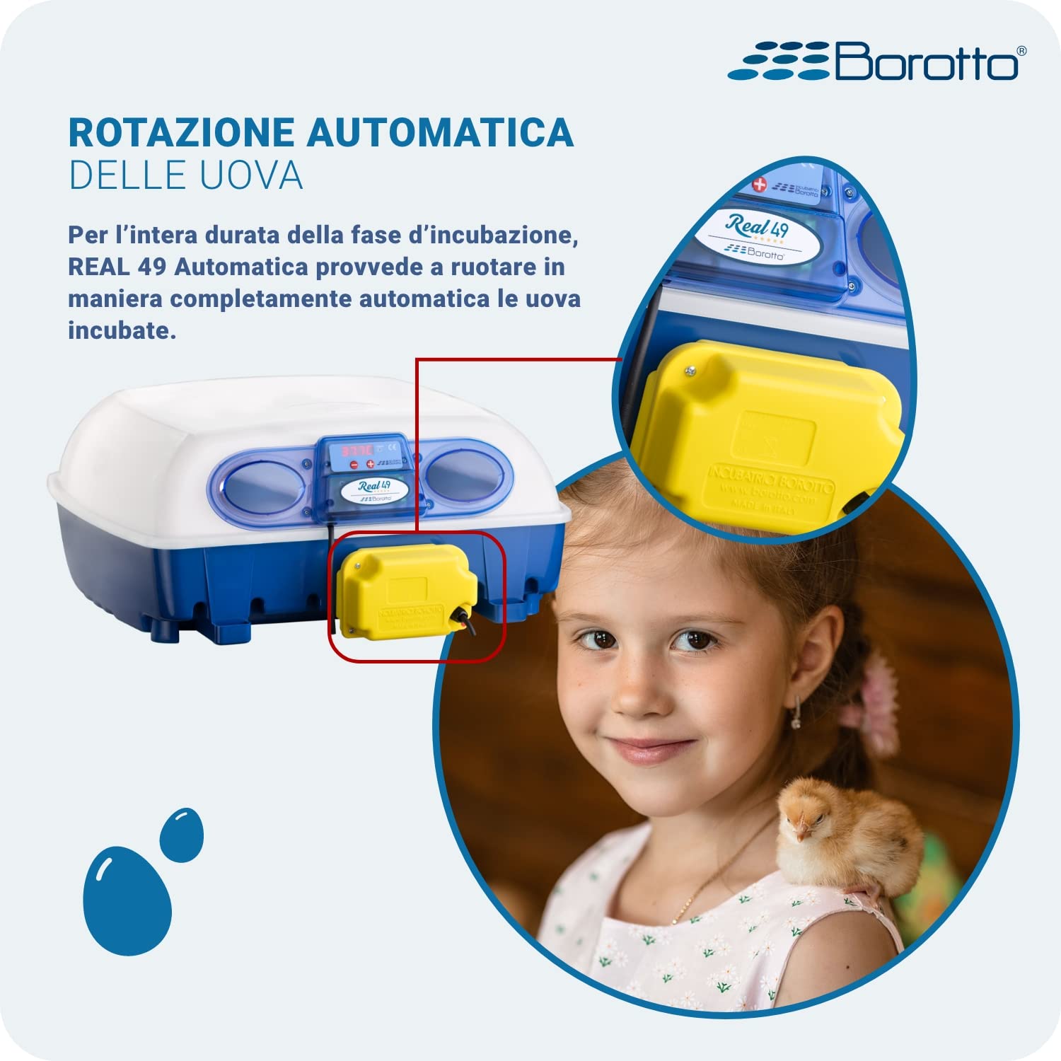Incubatrice Real 49 Automatica Borotto + Kit Svezzamento | Made in Italy