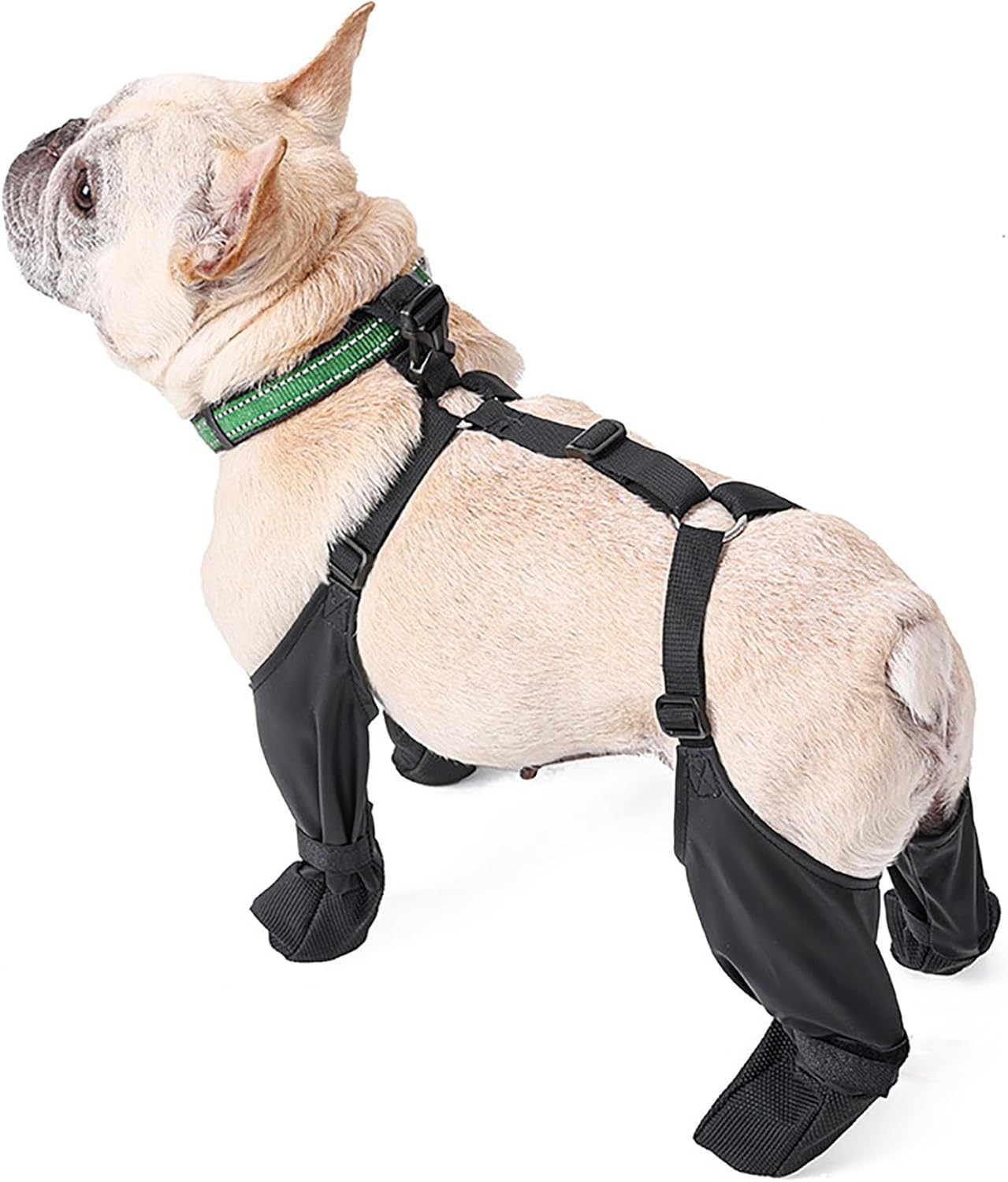 Dog Suspender Boots, Suspender Boots for Dogs, Dog Boots