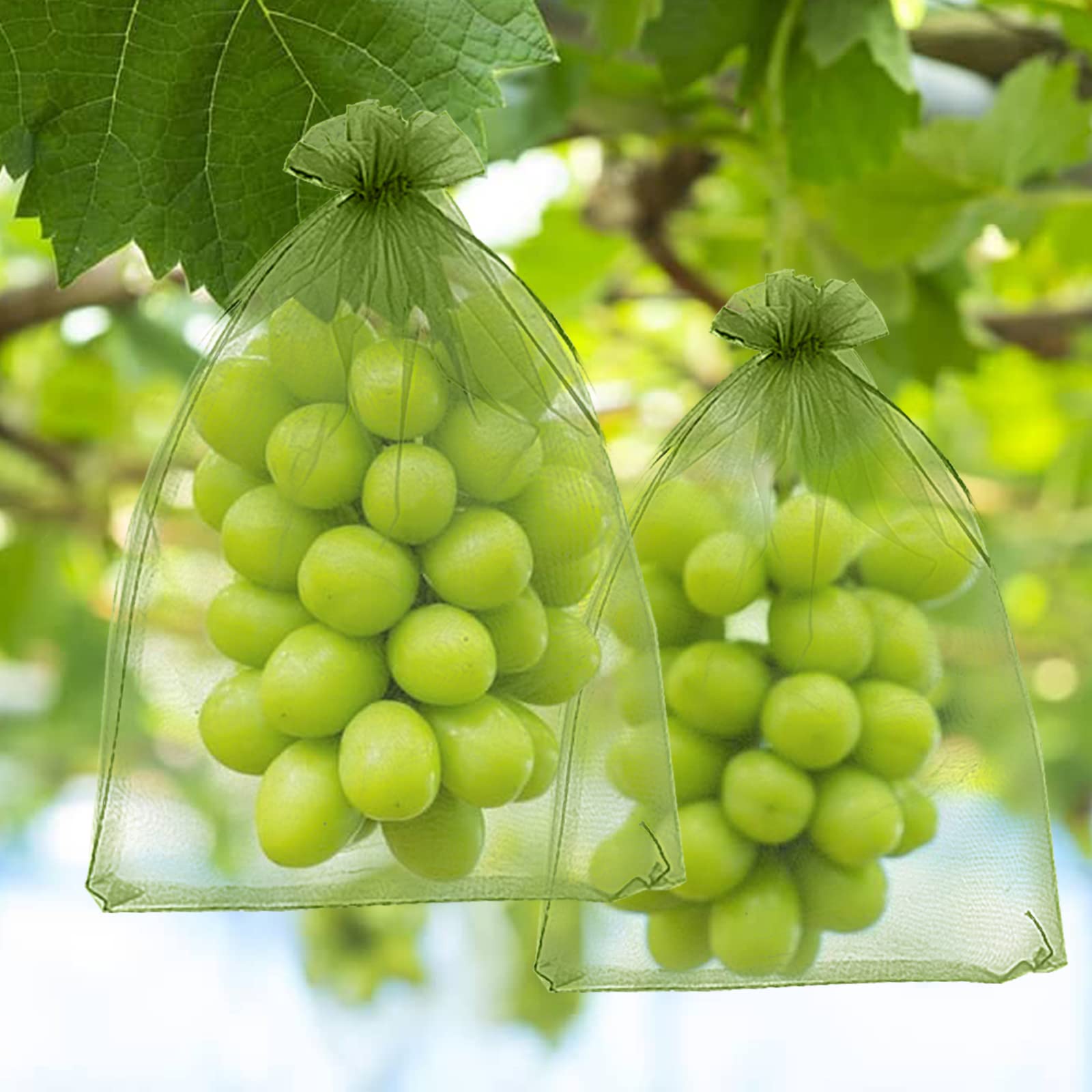 Bolsas De Protección Para Uvas Y Frutas - 50 Unidades, 30x40 Cm, Gasa Con Cordón | Reutilizables, Contra Insectos Y Pájaros