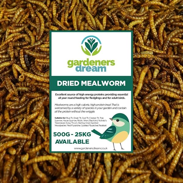 vers de Farine séchés GardenersDream - Friandises nutritives pour Oiseaux Sauvages (5kg) - 1