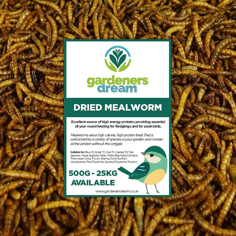 vers de Farine séchés GardenersDream - Friandises nutritives pour Oiseaux Sauvages (5kg)