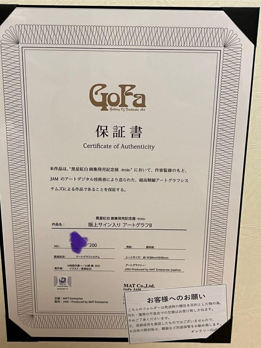 Amazon.co.jp: GOFA ガンゲイル・オンライン 黒星紅白 版上サイン入 