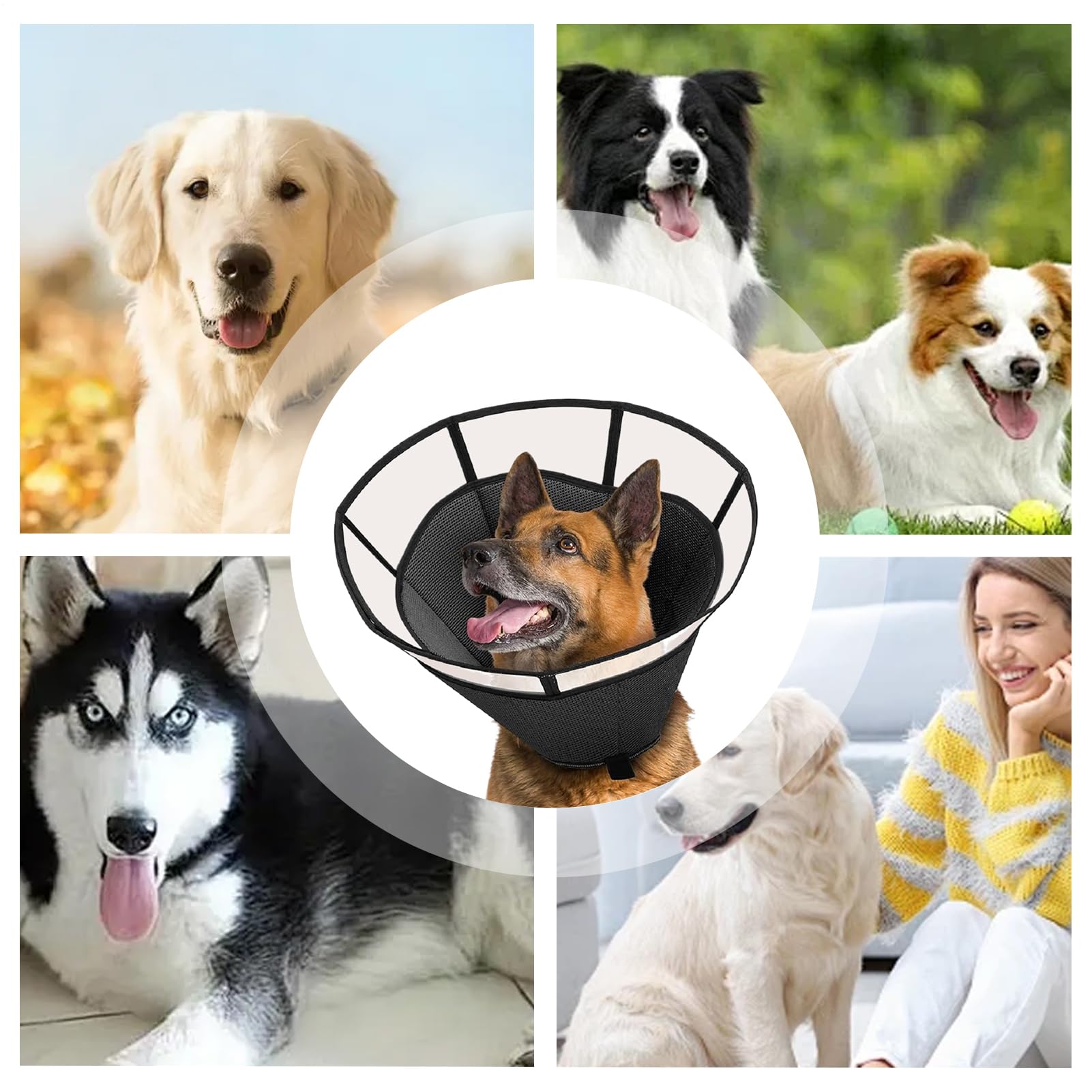 Cono Per Cani Piccoli - Guardia Protettiva Regolabile Anti-Leccamento - Cono Traspirante | Per La Protezione Delle Ferite La Cura Del Collo E La Gestione Della Salute Del Vostro Cane