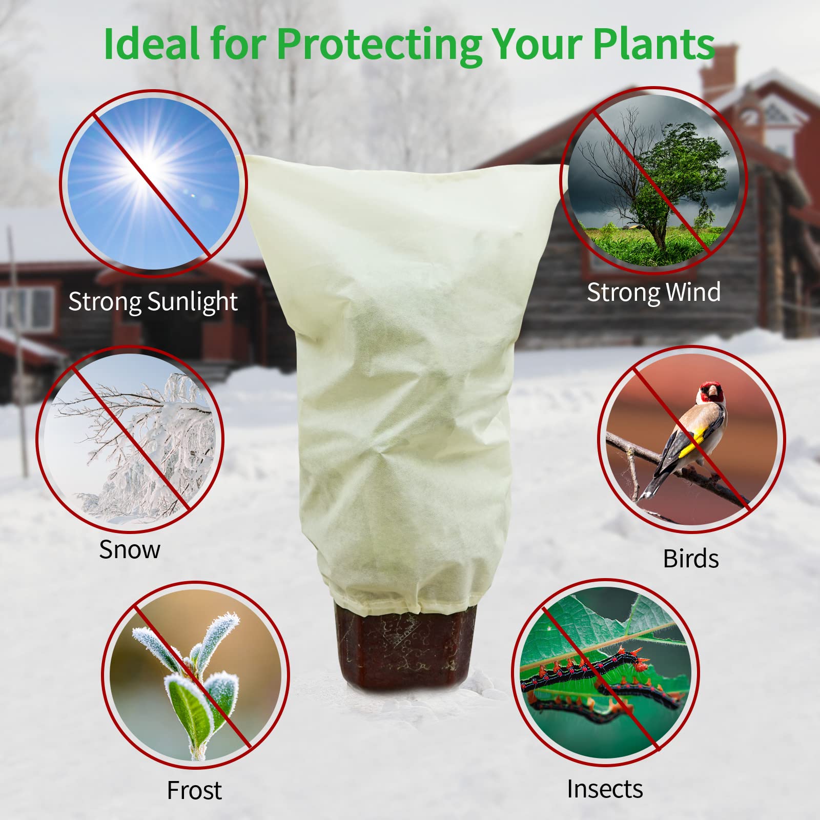Housse de Protection pour Plantes 50g/m² 60cm x 80cm Antigel Perméable Coupe-Vent