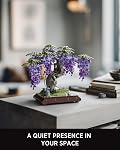 Nifeliz Wisteria Bonsai Tree Building Set for Adults, Botanical Plant Building Set, Flower Bonsai Model for Home Desk Decor, Gift for Plant Lovers (737 PCS, NF10372)