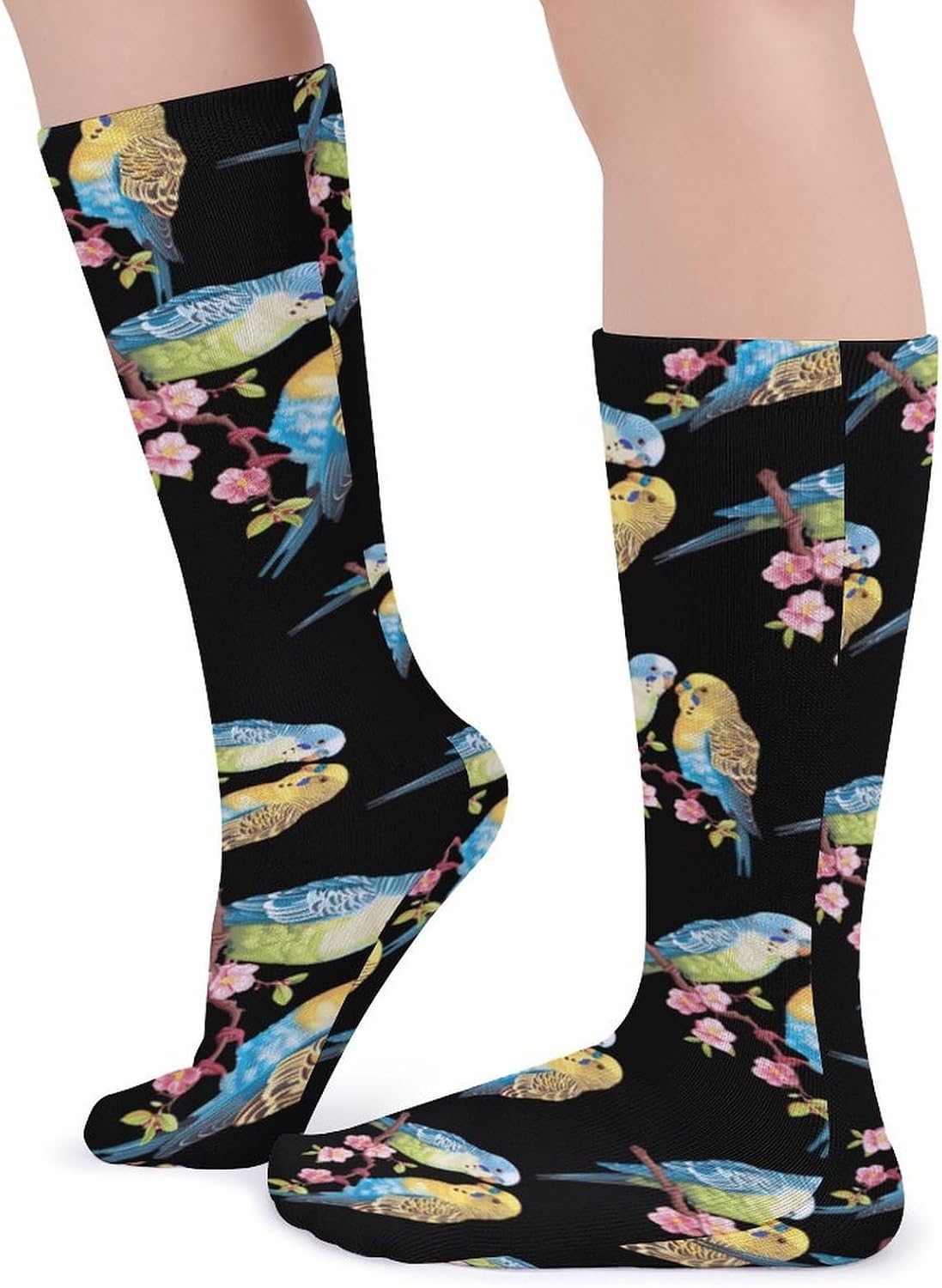 Parakeet Budgies Knee High Socks Casual Long Stockings Over Calf Sock Tube for Women Men