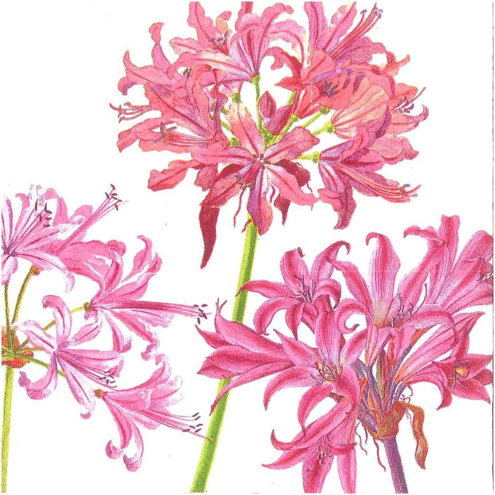 Caspari Entertaining Surprise Lily Paper Cocktail Napkin