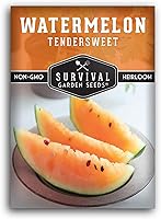 Tendersweet Heirloom Watermelon Seeds - Non-GMO Yellow-Orange Flesh, Large 30-40 lb Sweet Melons for Home Garden | Survival Garden Seeds