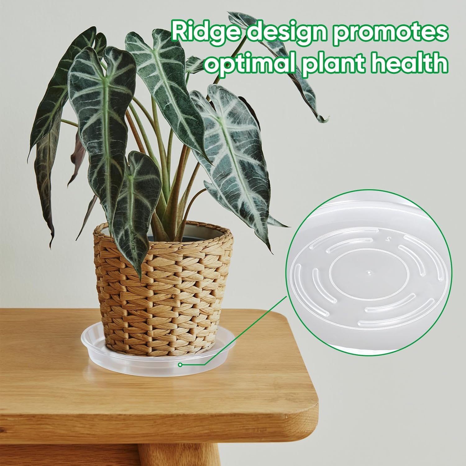 25 Pack Plant Saucer Tray, 6/8 / 10/12 /14 inch Heavy Duty Flower Pot Trays, Plastic Plant Saucer for Indoor & Outdoor Plants, Plant Trays to Catch Water, 5 Pieces of Each Size