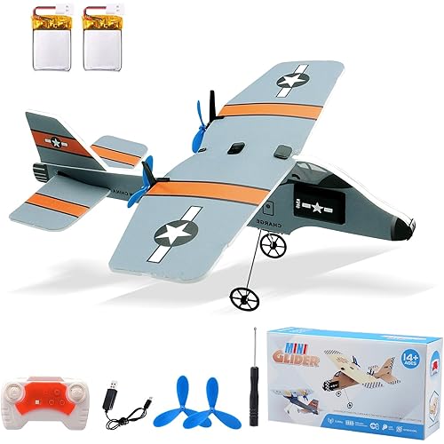 jaming Mini RC Plane, 2.4GHZ Remote Control Airplane with Gyro LED Light，2CH RTF Easy to Fly RC Glider Aircraft Toy for Beginners Kids Boys Girls Adults (813A)