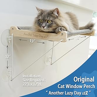 PETKARAY Cat Perch & Hammock, Foldable Indoor Cat Window Shelves, 2 Pack Window Stairs
