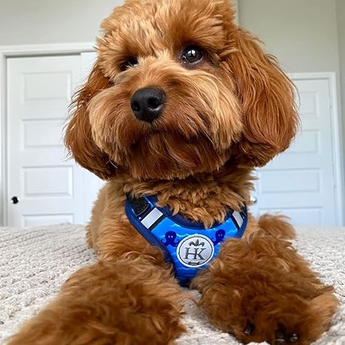 Miniatura 6 de Huxley & Kent Scout LoPro Arnés  Octopus Garden (S, 8-14 libras)  Arnés de malla fácil de controlar para perros con tiras reflectantes para mayor