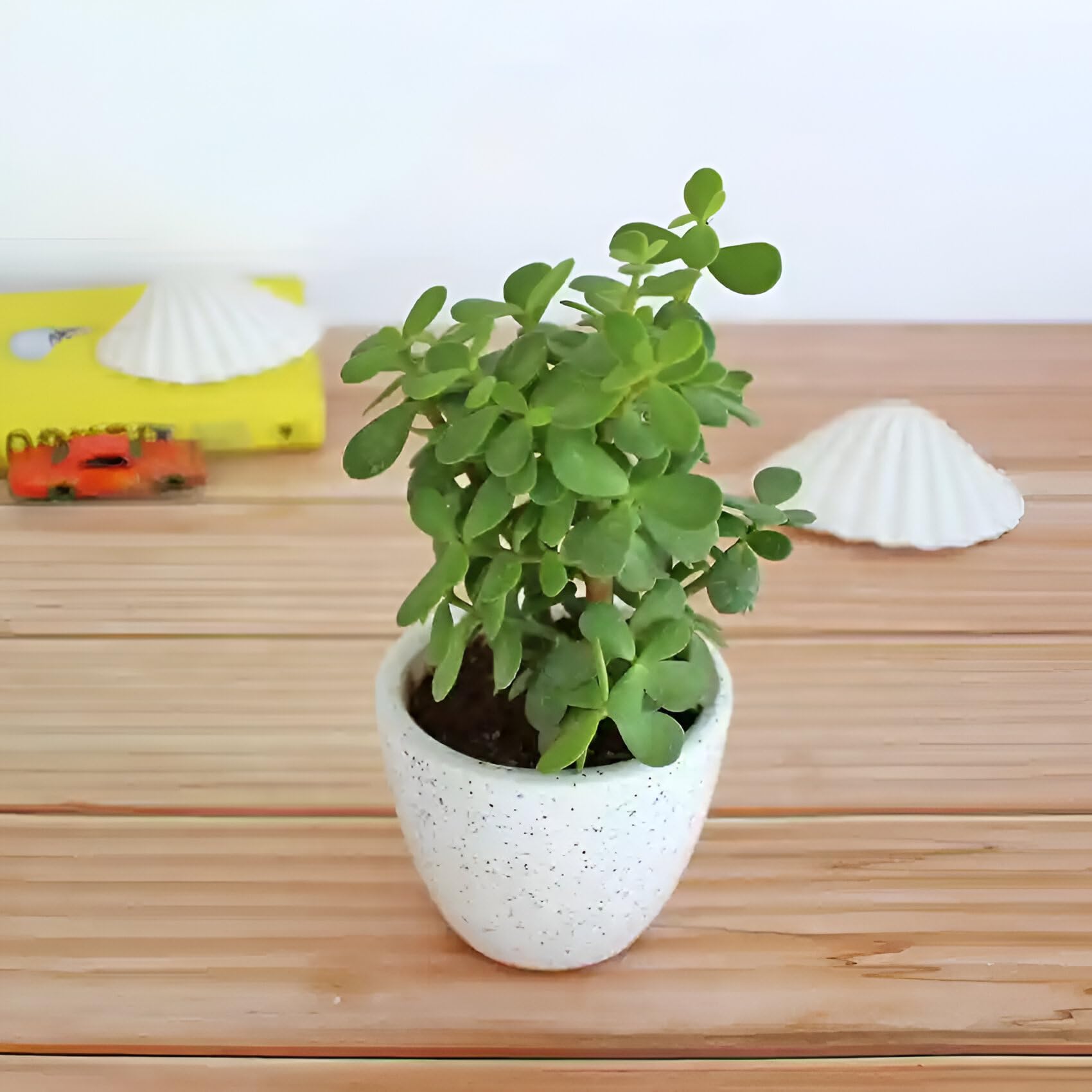 ④BIG L LP/LIFESTYLEZ OVDA POORDANGEROUS Lifestylez Ov Da Poor & Dangerous: Big L: Amazon.in: Music}