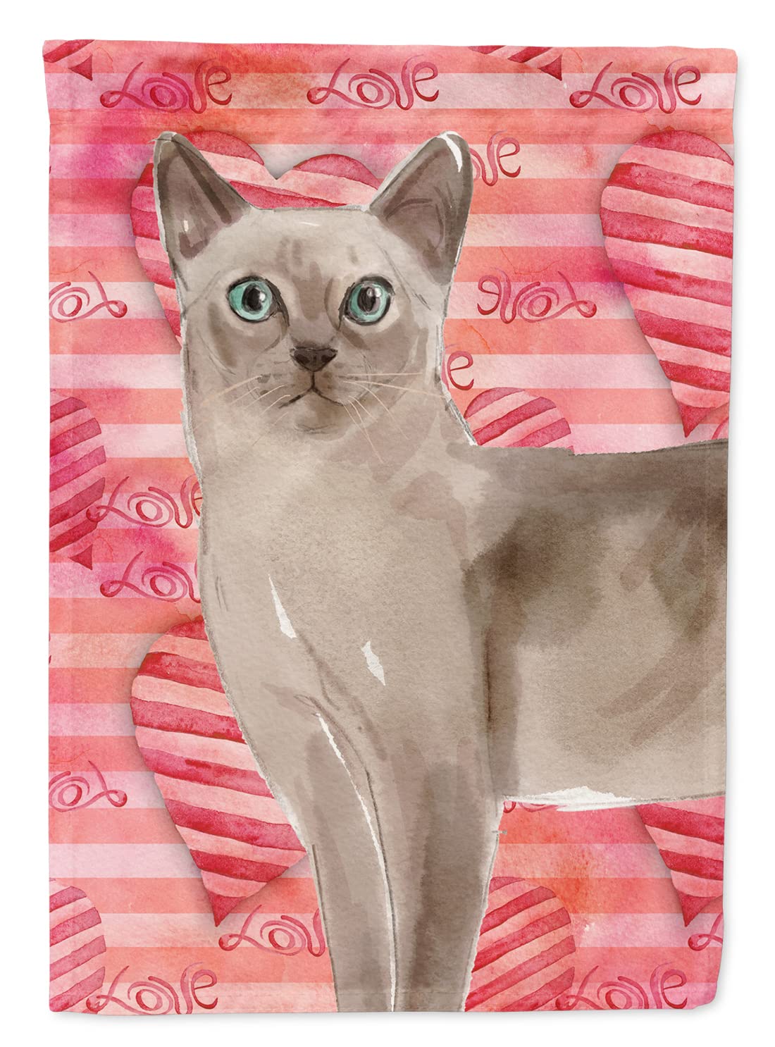 Maison en toile chat tonkinois multicolore objet deco Caroline's Treasures