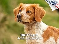 Vista 117 de Razas de Perros 2017