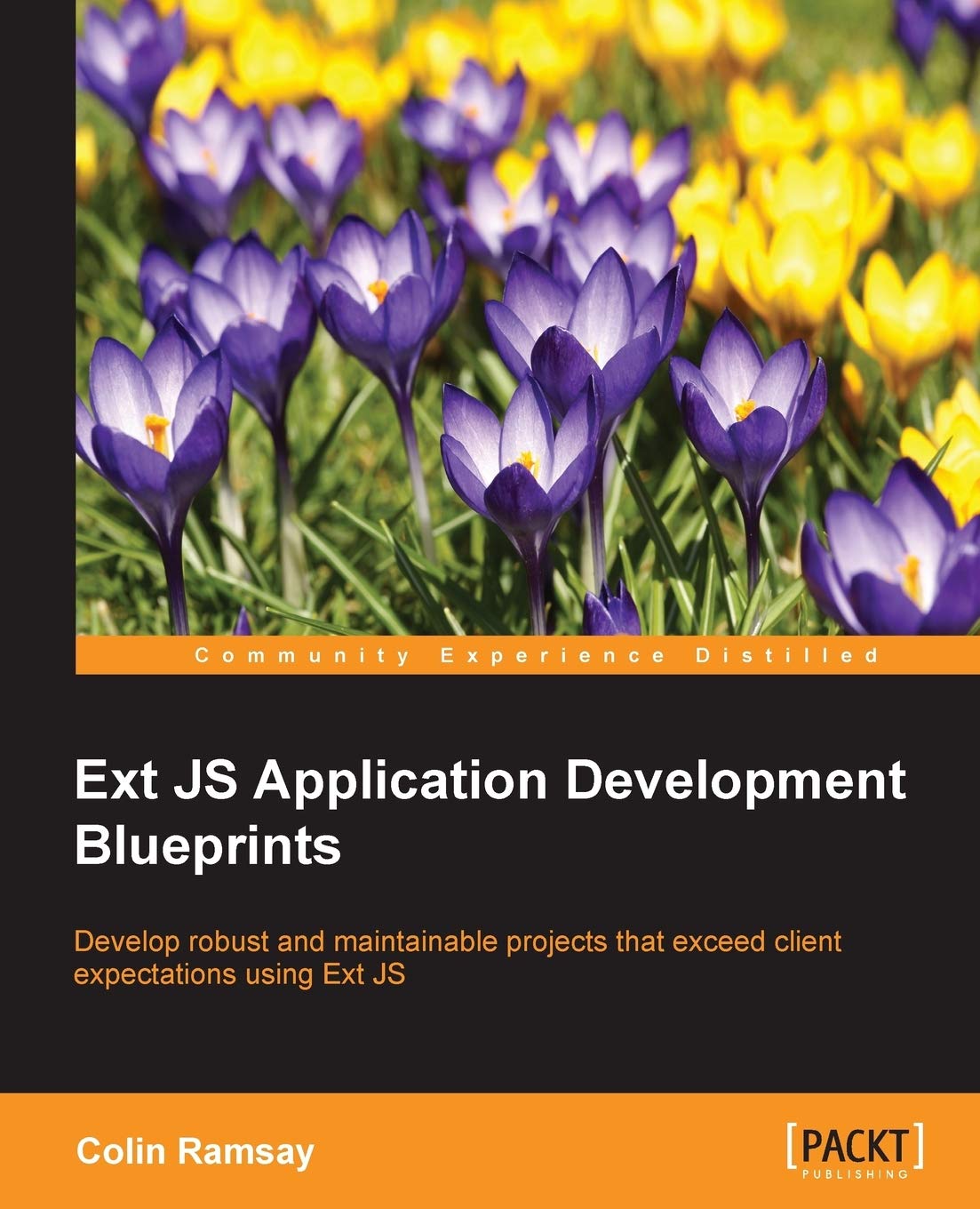 Buy Ext Js Application Development Blueprints — BookShops.in