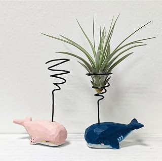 2 Pack Hand Carved Hand Painted Wood Whale Air Plant Display Holder Accent | Hand-painted carved wood whale base, bendable aluminum wire, dual-color 2-pack, fits all tillandsia, handmade table decor
